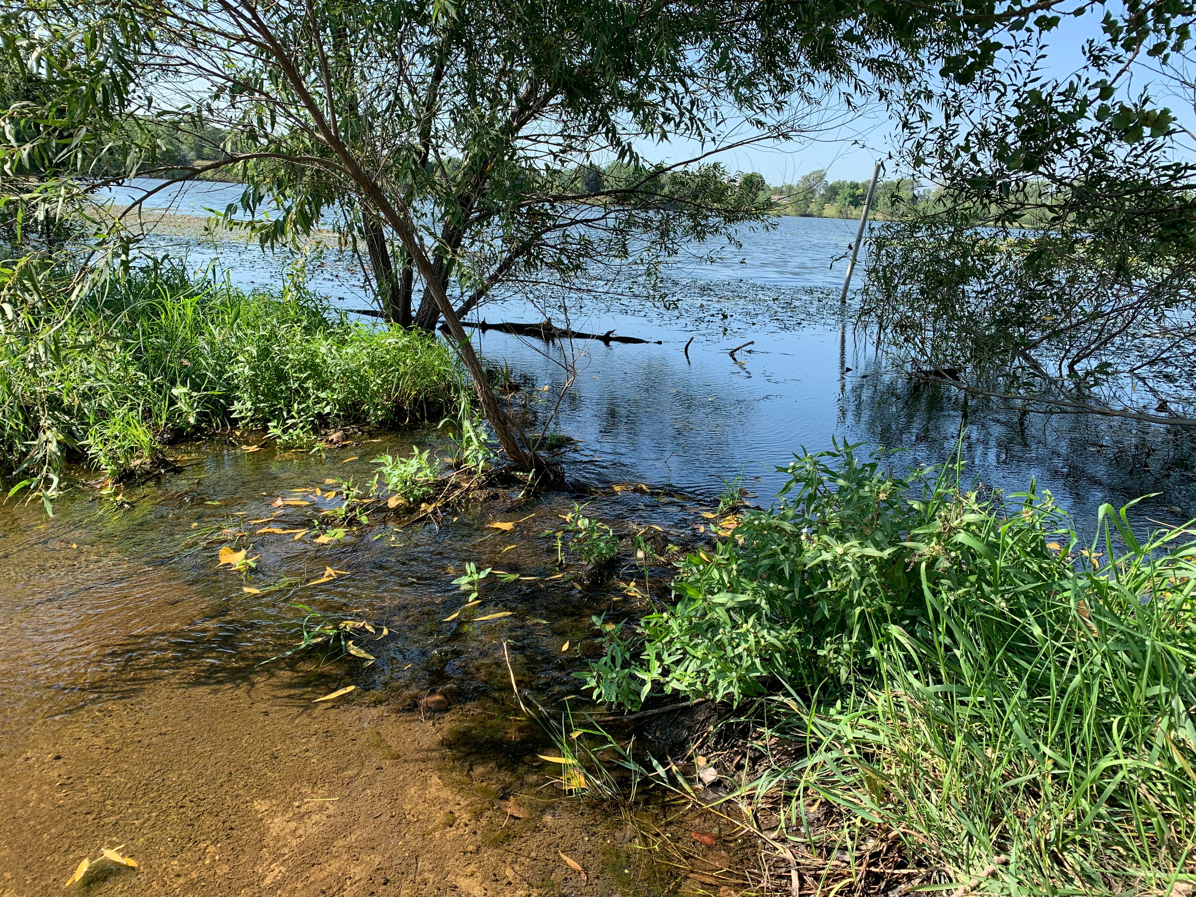 Water over the dam at the sanctuary